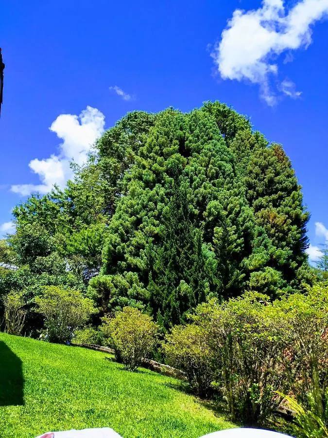 Quinta Das Flores Hospedaria Campos do Jordão Homestay szállás